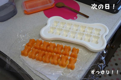 DSC03057.jpg