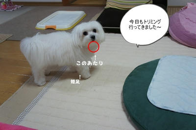 DSC03069.jpg