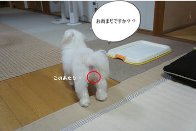 DSC03073.jpg