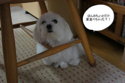 DSC03050.jpg