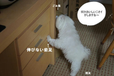 DSC03139.jpg