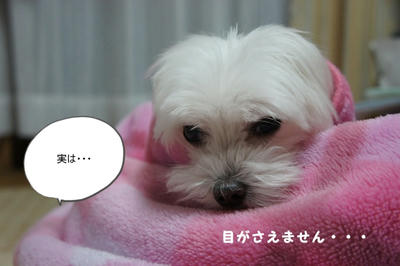 DSC03278.jpg
