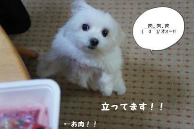 DSC03174.jpg