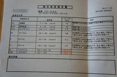 DSC03451.jpg