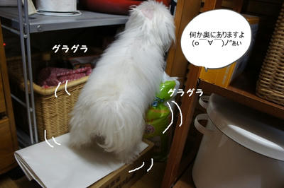 DSC03467.jpg