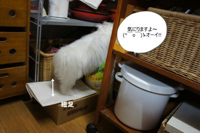 DSC03470.jpg