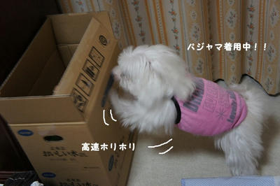 DSC03484.jpg