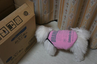 DSC03517.jpg