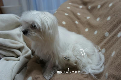 DSC03577.jpg
