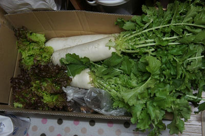 DSC03631.jpg