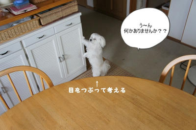 DSC03633.jpg
