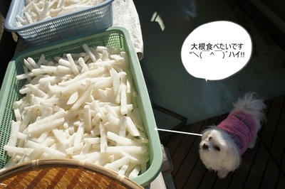 DSC03722.jpg