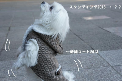 DSC03915.jpg