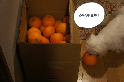 DSC03796.jpg