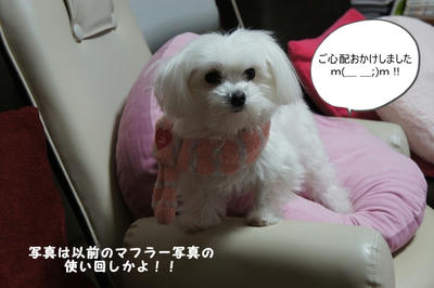 DSC04015.jpg