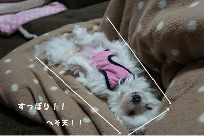 DSC04089.jpg