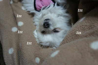 DSC04097.jpg