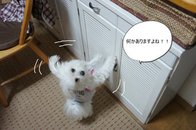 DSC04119.jpg