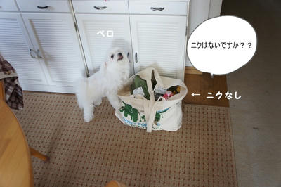 DSC04140.jpg