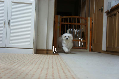 DSC04146.jpg