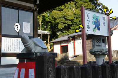 DSC04170.jpg