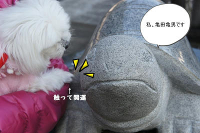 DSC04173.jpg