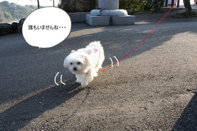 DSC04206.jpg