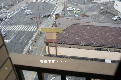DSC04225.jpg