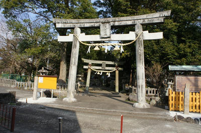 DSC04228.jpg