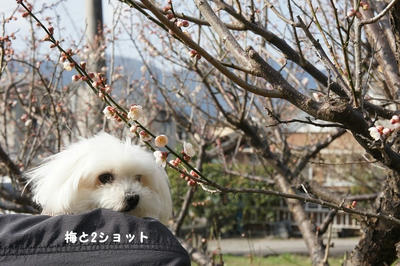 DSC04268.jpg