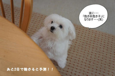 DSC04378.jpg