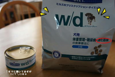 DSC04386.jpg