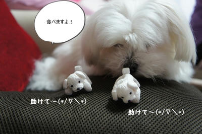 DSC04428.jpg