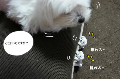 DSC04433.jpg