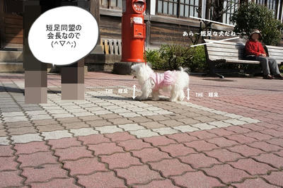 DSC04452.jpg