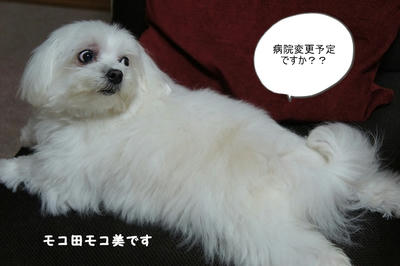 DSC04526.jpg