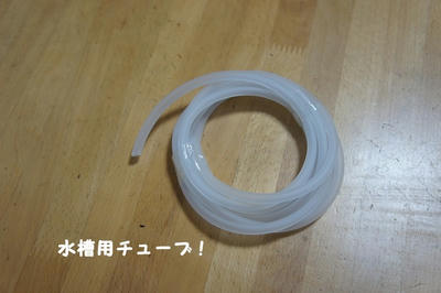 DSC04521.jpg