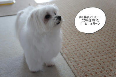 DSC04471.jpg