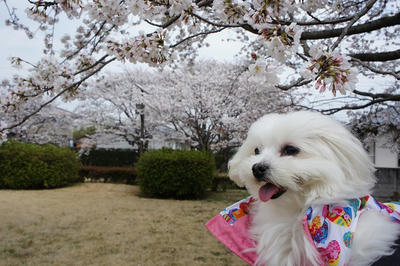 DSC04570.jpg
