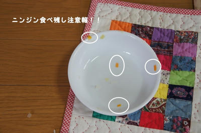 DSC04582.jpg