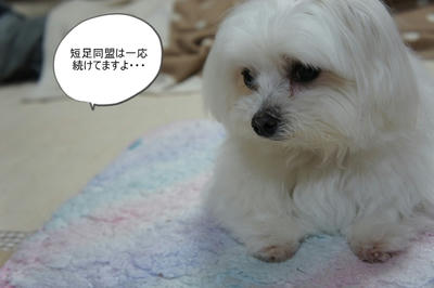 DSC04592.jpg