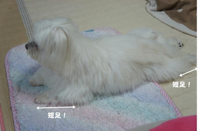 DSC04593.jpg