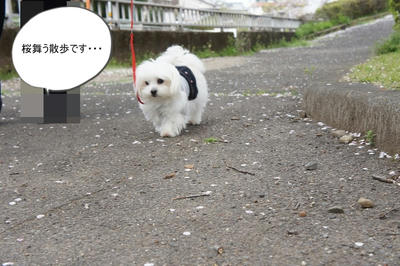 DSC04620.jpg