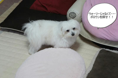 DSC04746.jpg