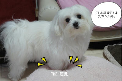 DSC04749.jpg