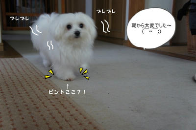 DSC04743.jpg