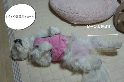 DSC04832.jpg