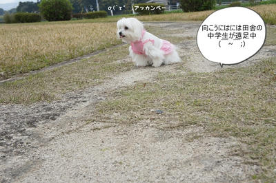DSC04843.jpg