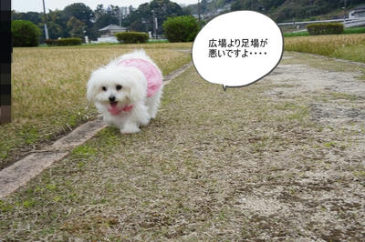 DSC04856.jpg
