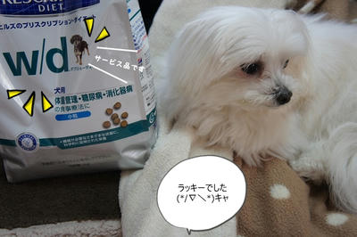 DSC04733.jpg